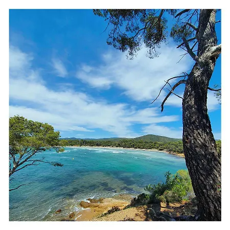 De La Palmeraie - Dans Propriete Privee Au Calme Avec Piscine Et Tennis Holiday home Bormes-les-Mimosas